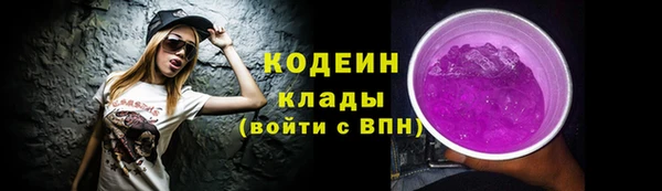 соль ск Приозерск