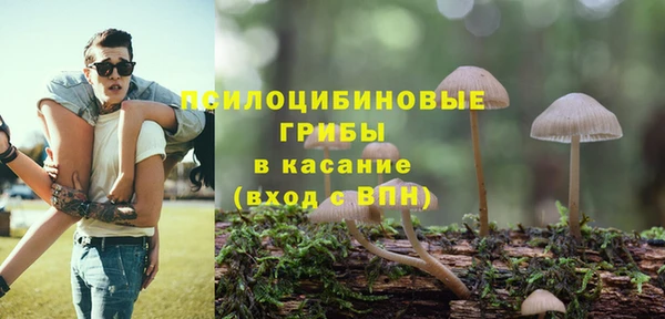 трава Армянск